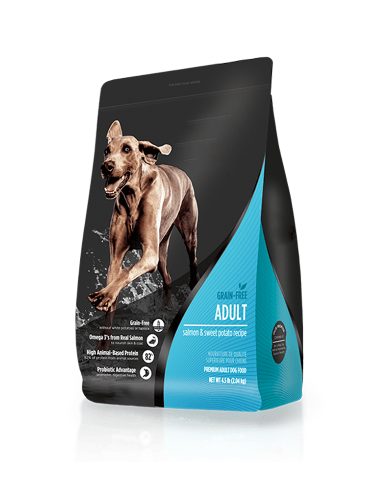 Vegetarian and vegan dog diet